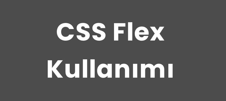 CSS Flex Kullanımı